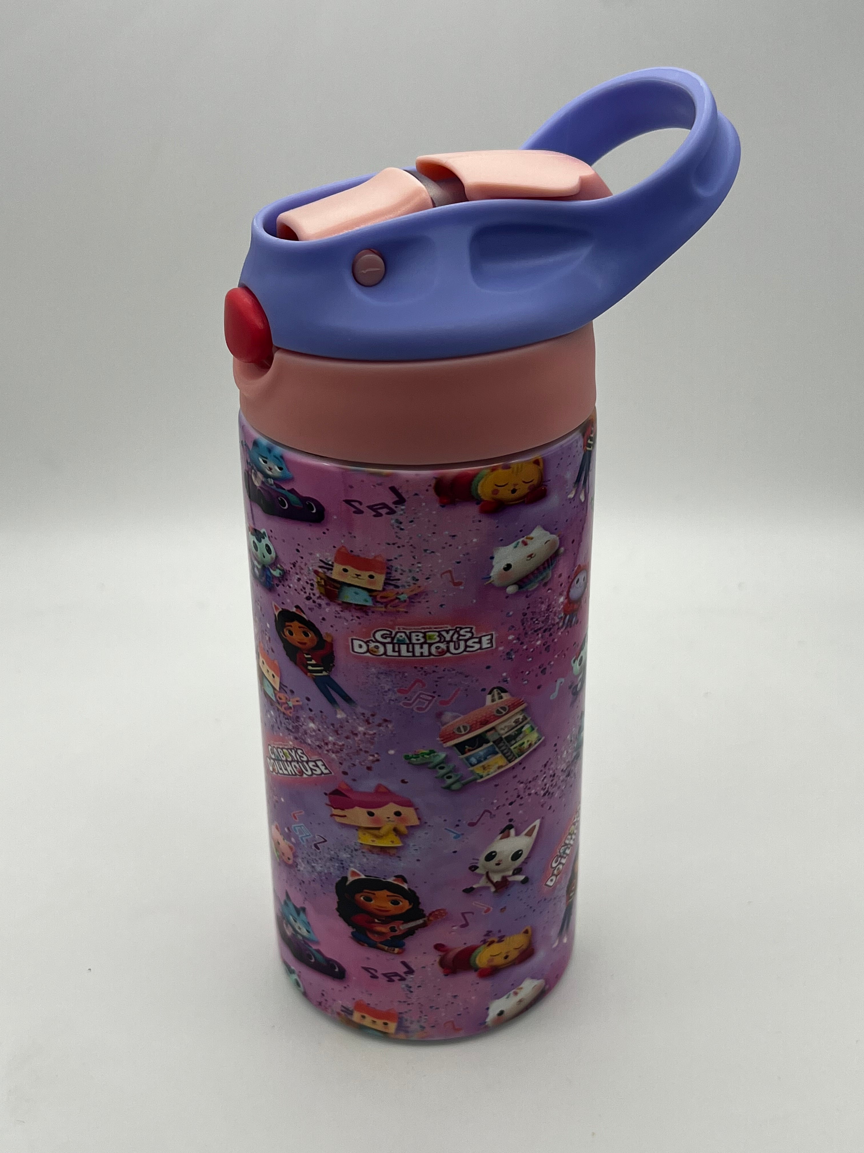 Gabby Dollhouse Kids Flip Top Water Bottle – J and F Creations